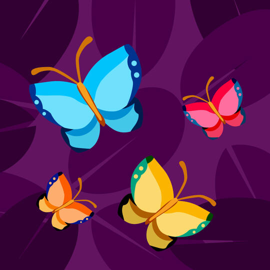 Butterfly