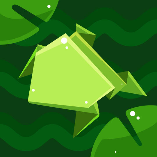 Origami Frog Origami Frog
