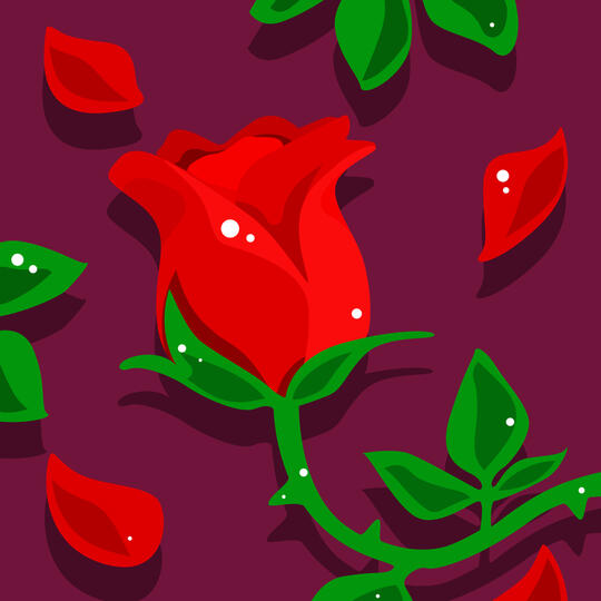 Rose