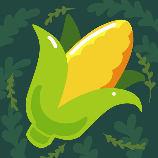 Corn